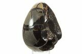 Septarian Dragon Egg Geode - Sparkly Black Crystals #336457-1